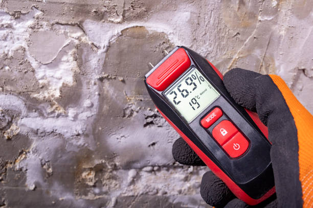 Best Emergency Mold Removal  in Petaluma, CA