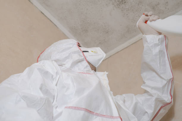 Best Crawl Space Mold Removal  in Petaluma, CA